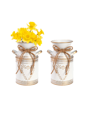 2 Pack Metal Milk Can Rustic Galvanized Vase